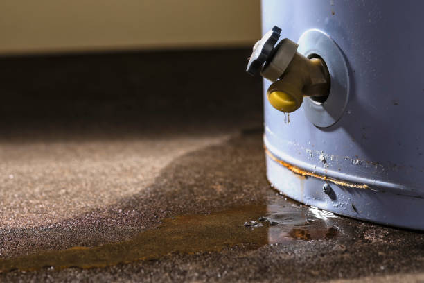 Best 24/7 water damage repair  in Pascoag, RI