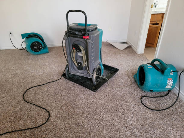 Best Sewage cleanup and water damage restoration  in Pascoag, RI