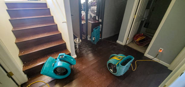 Reliable RI Water damage restoration Solutions