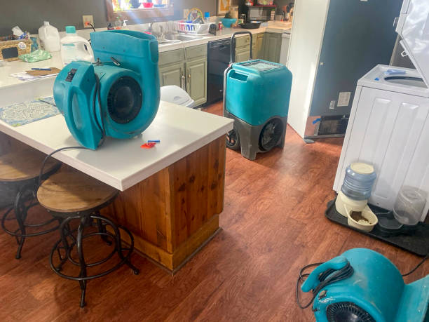 Best Water damage contractors near me  in Pascoag, RI