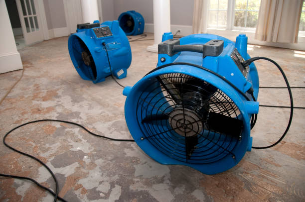 Professional Water damage restoration in RI