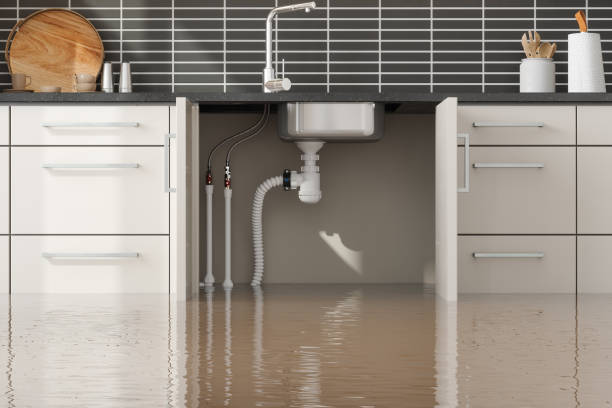 Best Water damage repair service  in Pascoag, RI