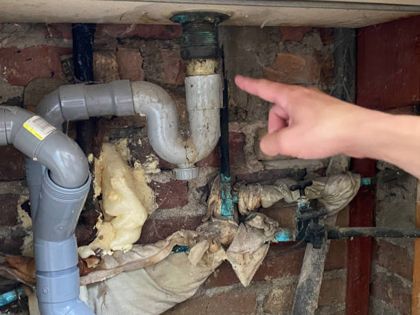 Best Mold removal after water damage  in Pascoag, RI