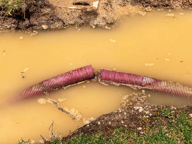 Best Water damage restoration near me  in Pascoag, RI