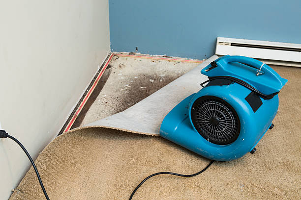 Best Emergency water damage restoration  in Pascoag, RI